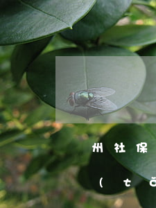 廣州社保網(wǎng)有個人社保查詢系統(tǒng)