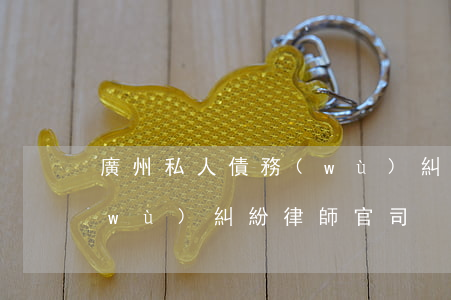 廣州私人債務(wù)糾紛律師(廣州債務(wù)糾紛律師官司)
