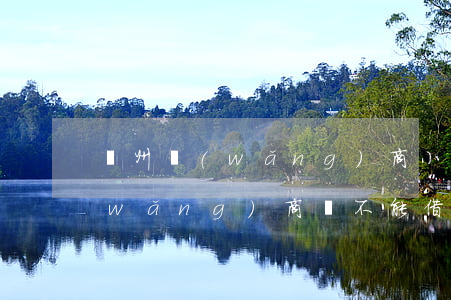 廣州網(wǎng)商小額貸能不還嗎(網(wǎng)商貸不能借款了)