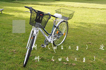 廣州網(wǎng)貸逾期了怎么辦信用卡（廣州網(wǎng)貸逾期了怎么辦信用卡）
