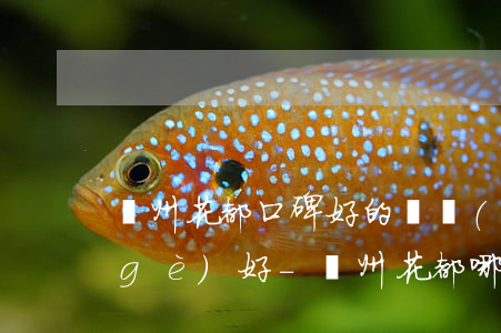 廣州花都口碑好的債務(wù)律師哪個(gè)好-廣州花都哪家律師比較好