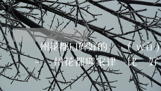 廣州花都口碑好的債務(wù)律師哪家好-廣州花都哪家律師比較好