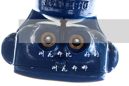 廣州花都比較好的債務(wù)律師哪家好-廣州花都哪個(gè)律師事務(wù)所比較好的