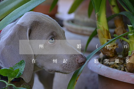 廣州訴訟離婚請(qǐng)律師要多少錢(在廣州起訴離婚需要多少費(fèi)用?)