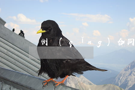 廣州請(qǐng)合同糾紛律師多少錢