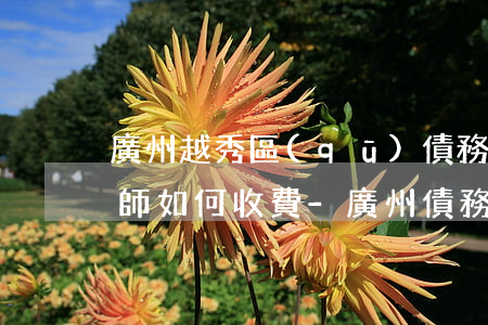 廣州越秀區(qū)債務執(zhí)行律師如何收費-廣州債務律師怎么收費標準
