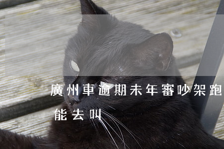 廣州車逾期未年審 吵架跑娘家的女人,絕對不能去叫