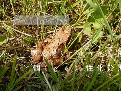 廣州農(nóng)商銀行協(xié)商個(gè)性化分期政策（廣州農(nóng)商銀行協(xié)商個(gè)性化分期）