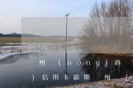 廣州農(nóng)商銀行太陽(yáng)信用卡逾期(廣州農(nóng)商銀行太陽(yáng)信用卡app)