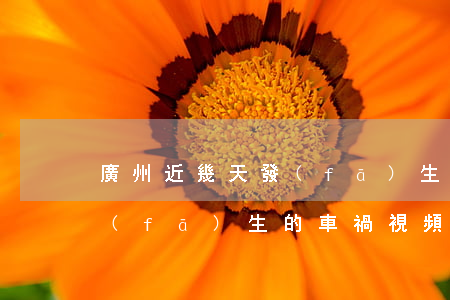 廣州近幾天發(fā)生的車禍(昨天廣州發(fā)生的車禍視頻)