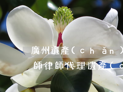 廣州遺產(chǎn)繼承專業(yè)律師(律師代理遺產(chǎn)繼承的費用)