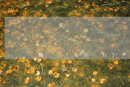 廣州遺產(chǎn)繼承稅(遺產(chǎn)繼承有稅嗎)