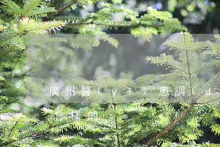 廣州醫(yī)患調(diào)解程序是怎樣的