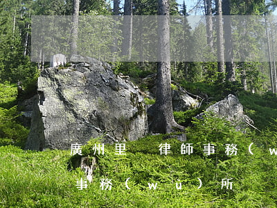 廣州里奧律師事務(wù)所(廣州里奧律師事務(wù)所)
