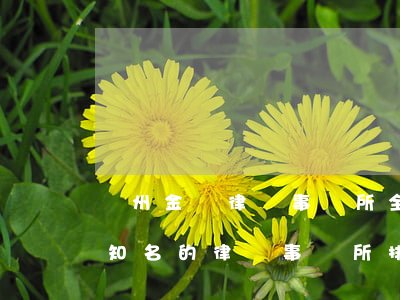 廣州金鵬律師事務所全國排名(最新廣州市最知名的律師事務所排行?)