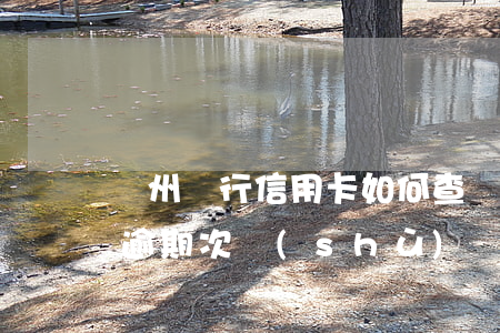 廣州銀行信用卡如何查詢逾期(怎么查信用卡逾期次數(shù))