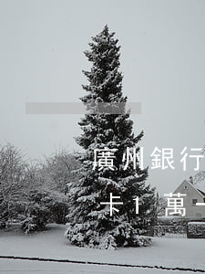 廣州銀行信用卡逾期10萬(欠廣州銀行信用卡1萬一千多逾期9個(gè)月了)