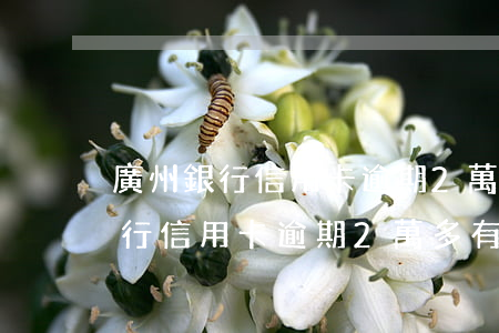 廣州銀行信用卡逾期2萬多有事嗎-廣州銀行信用卡逾期2萬多有事嗎知乎