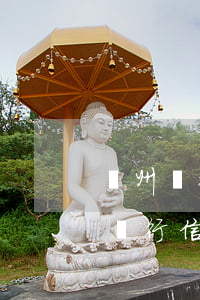 廣州銀行信用卡逾期5個(gè)月了(廣州銀行信用卡逾期5個(gè)月了還能用嗎)