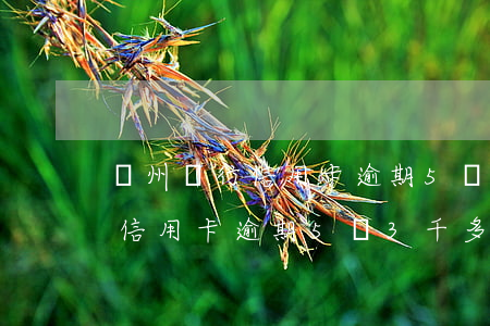 廣州銀行信用卡逾期5萬3千多-廣州銀行信用卡逾期5萬3千多怎么辦
