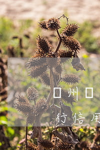 廣州銀行信用卡逾期三個(gè)月(廣州銀行信用卡逾期三個(gè)月說(shuō)要聯(lián)合派出所)