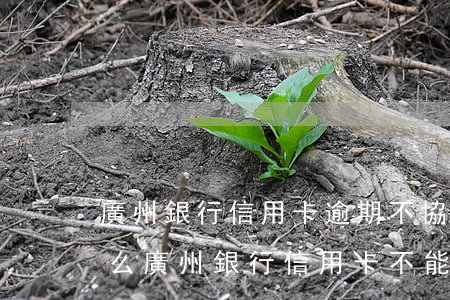 廣州銀行信用卡逾期不協(xié)商(為什么廣州銀行信用卡不能跨行還款)