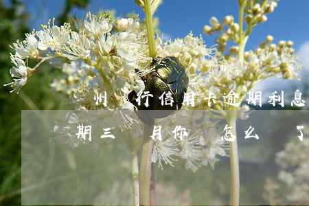 廣州銀行信用卡逾期利息(廣州銀行信用卡逾期三個月你們怎么樣了)
