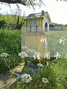 廣州銀行信用卡逾期十幾天(廣發(fā)卡信用卡逾期3天)