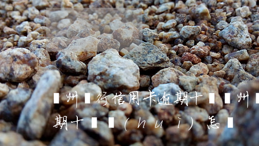 廣州銀行信用卡逾期十萬(廣州銀行信用卡逾期十萬會(huì)怎樣)
