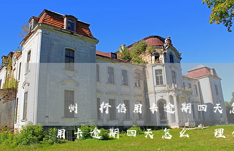 廣州銀行信用卡逾期四天怎么辦(廣州銀行信用卡逾期四天怎么辦理分期)
