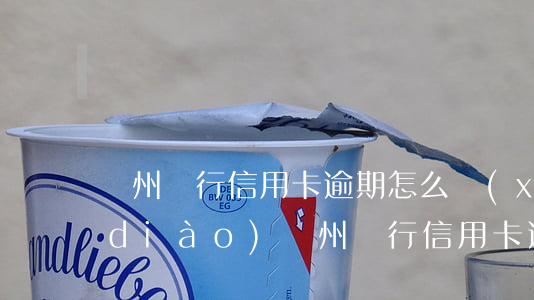 廣州銀行信用卡逾期怎么協(xié)調(diào)(廣州銀行信用卡逾期怎么協(xié)調(diào)最快)