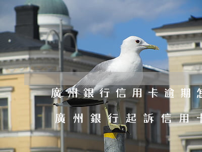 廣州銀行信用卡逾期怎么應(yīng)訴(廣州銀行起訴信用卡)