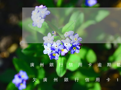 廣州銀行信用卡逾期能個(gè)性還款嗎(欠廣州銀行信用卡1萬一千多逾期9個(gè)月了)