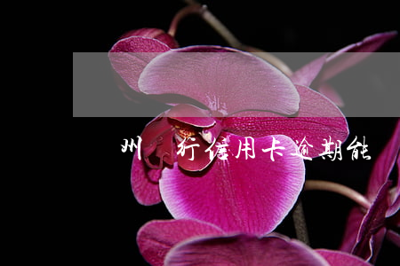 廣州銀行信用卡逾期能協(xié)商減免嗎