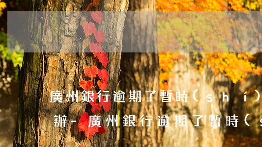 廣州銀行逾期了暫時(shí)還不上怎么辦-廣州銀行逾期了暫時(shí)還不上怎么辦呢