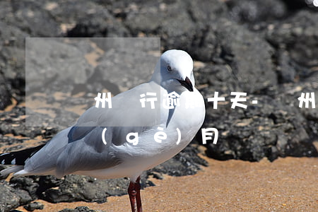 廣州銀行逾期十天-廣州銀行信用卡逾期三個(gè)月