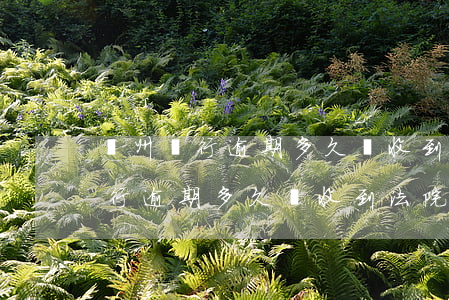 廣州銀行逾期多久會收到法院傳票-廣州銀行逾期多久會收到法院傳票通知