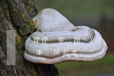 廣律律師事務所發(fā)來的(廣東法廣律師事務所怎么樣)