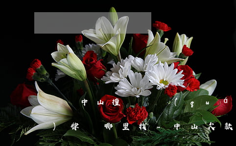 廣東中山擅長債權(quán)債務(wù)律師哪里找-中山欠款律師