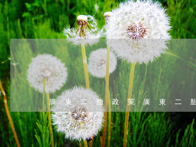 廣東二胎政策(廣東二胎政策前超生處罰)