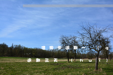 廣東信用卡逾期一個(gè)月(廣州信用卡逾期三天會(huì)有不良記錄嗎)