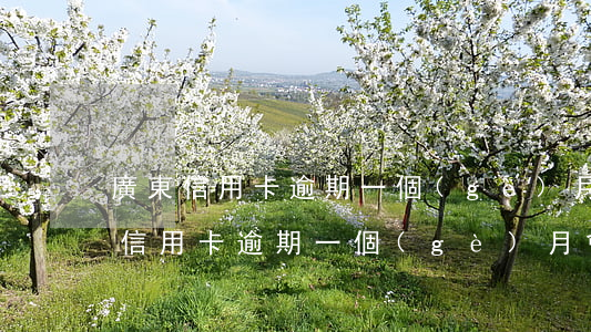 廣東信用卡逾期一個(gè)月沒還(忘記還信用卡逾期一個(gè)月會(huì)有不良記錄嗎)