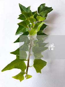 廣東借唄負(fù)債逾期還款方法