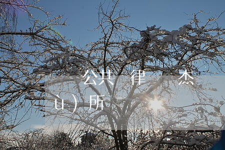 廣東公共臺律師偉杰(廣東林賢律師事務(wù)所)