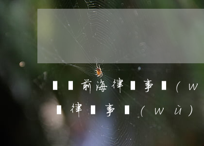 廣東前海律師事務(wù)所怎么樣(廣東海東律師事務(wù)所)