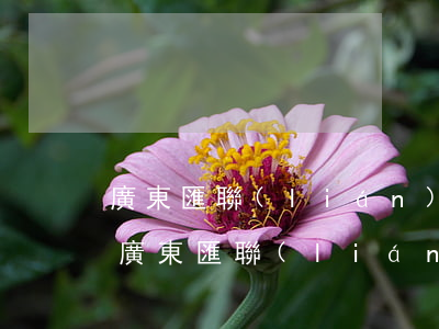 廣東匯聯(lián)律師事務(wù)所(廣東匯聯(lián)律師事務(wù)所童漢明)