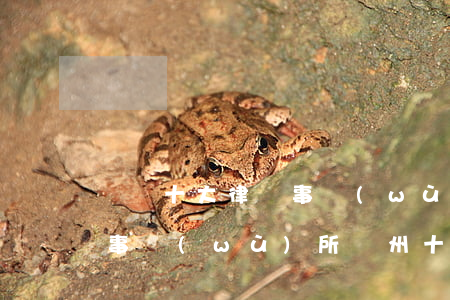 廣東十大律師事務(wù)所(廣東十大律師事務(wù)所廣州十大律師事務(wù)所)