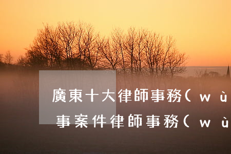 廣東十大律師事務(wù)所排行榜(廣東刑事案件律師事務(wù)所排名)