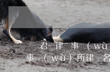 廣東君一律師事務(wù)所(廣東君一律師事務(wù)所律師名單)