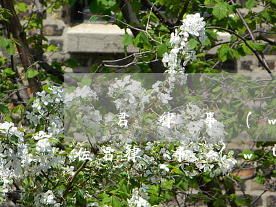 廣東君納律師事務(wù)所是否存在(廣東佐君律師事務(wù)所)
